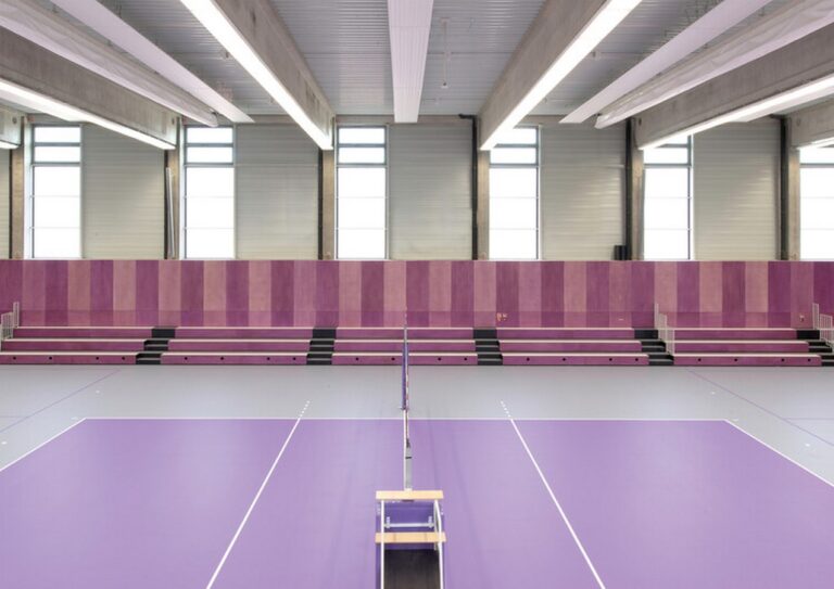 Dynamic Design: Multifunctional Sports Hall in Budapest - Look My Town